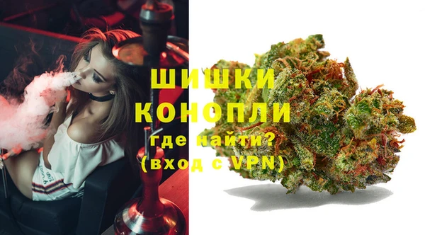 дживик Абаза