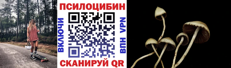 Галлюциногенные грибы Psilocybine cubensis  Звенигород 